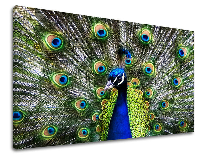 Ζωγραφική τοίχου ΖΩΑ