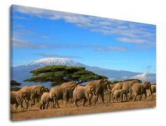 Ζωγραφική τοίχου ΖΩΑ ZV036E11