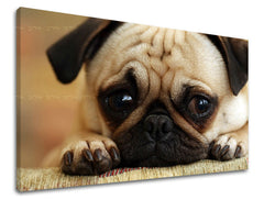 Ζωγραφική τοίχου ΖΩΑ ZV043E11