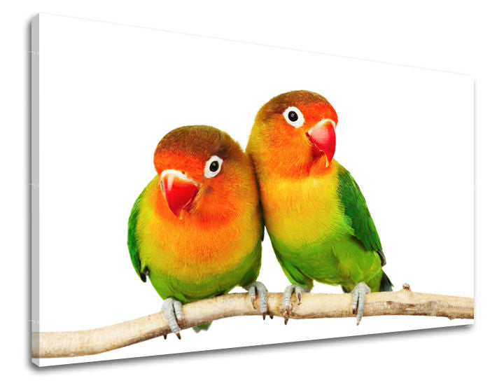 Ζωγραφική τοίχου ΖΩΑ ZV045E11