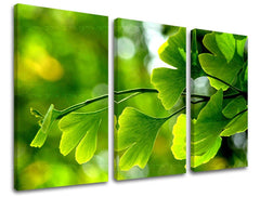 Τοιχογραφία 3 τμημάτων RASTLINY