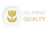 Εικόνα σε καμβά με θέμα καρότο και ρητό «είσαι ό,τι τρως» – πρόσθετη λεπτομέρεια με ορατή υφή και σύνθεση, Papilora.