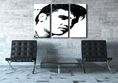 Χειροποίητος πίνακας ζωγραφικής POP Art ELVIS 3 piece el | διαφορετικά μεγέθη