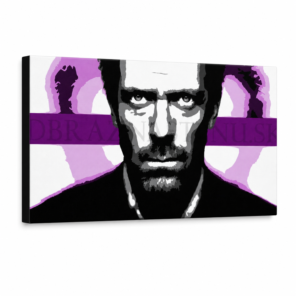 Χειροποίητη ζωγραφική POP Art Art ζωγραφική Dr. HOUSE 1 τεμάχιο 1010 dh – Τρισδιάστατη απεικόνιση του χειροποίητα ζωγραφισμένου καμβά σε λευκό φόντο. Κυρίαρχα χρώματα: μαύρο, λευκό, μωβ, ροζ, γκρι.