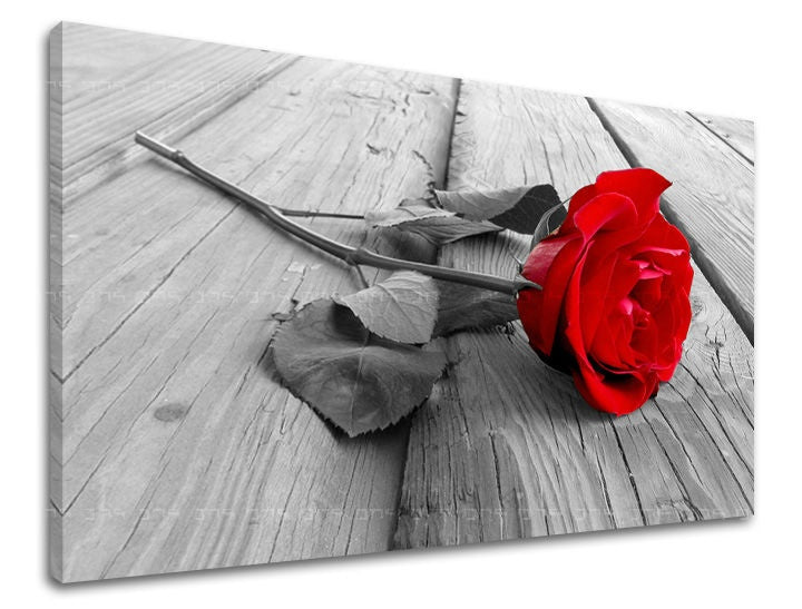 Ζωγραφική τοίχου ΛΟΥΛΟΥΔΙΑ OF ROSES