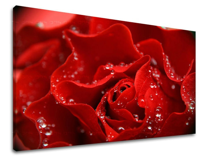 Ζωγραφική τοίχου ΛΟΥΛΟΥΔΙΑ OF ROSES