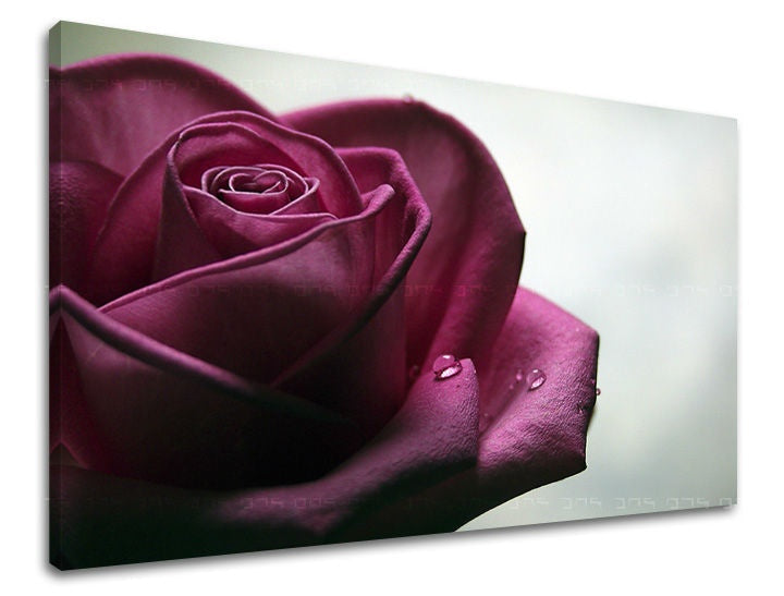Ζωγραφική τοίχου ΛΟΥΛΟΥΔΙΑ OF ROSES