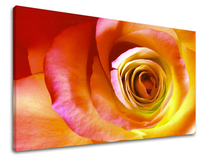 Ζωγραφική τοίχου ΛΟΥΛΟΥΔΙΑ OF ROSES