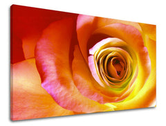 Ζωγραφική τοίχου ΛΟΥΛΟΥΔΙΑ OF ROSES