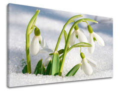 Ζωγραφική τοίχου ΛΟΥΛΟΥΔΙΑ