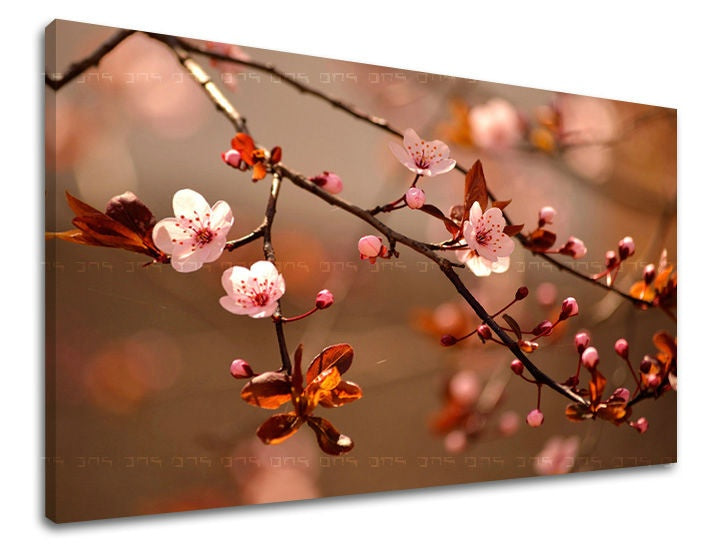 Ζωγραφική τοίχου ΛΟΥΛΟΥΔΙΑ