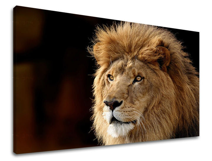 Ζωγραφική τοίχου ΖΩΑ